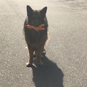 Meet your Posher, Justin